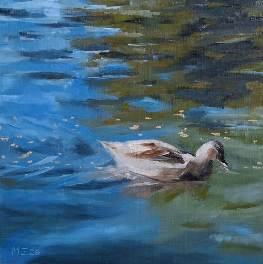 Eine Ente im Wasser. (Inspiration: Villa Borghese, wobei der Ort nicht erkennbar ist).